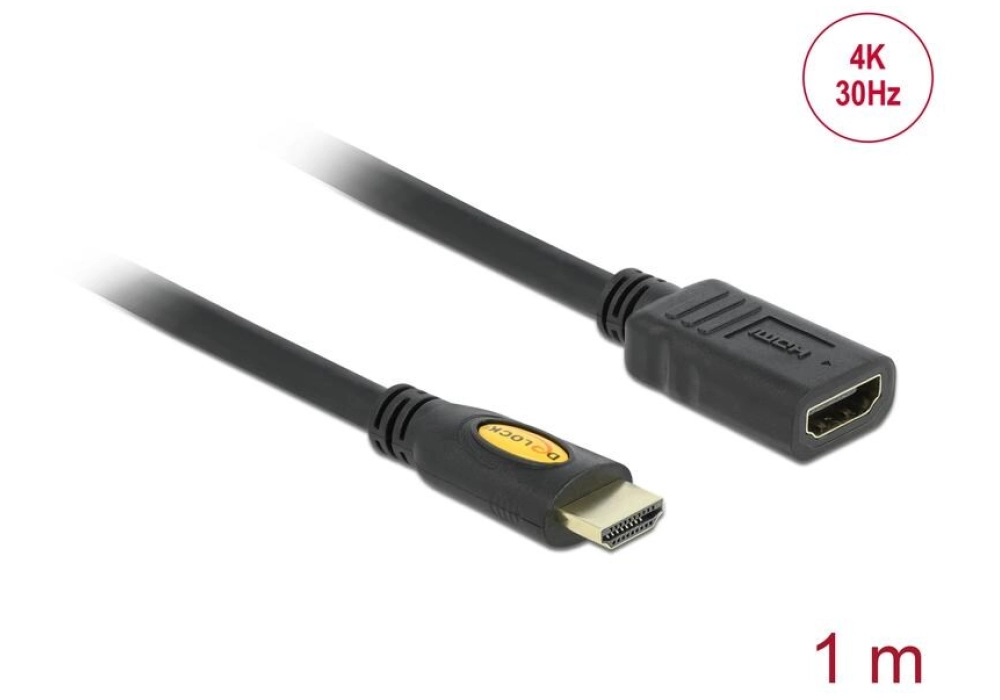 DeLock Câble de rallonge HDMI - 4K 30Hz - 1.0 m