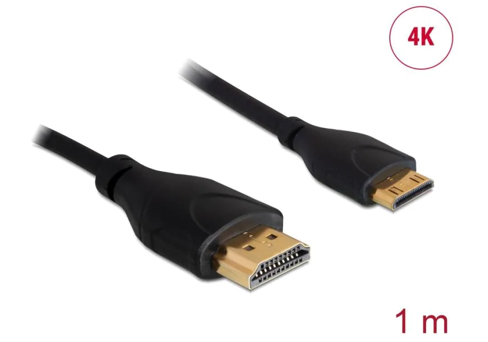 DeLock Câble HDMI / Mini-HDMI (HDMI-C) 4K 30Hz - 1.0 m