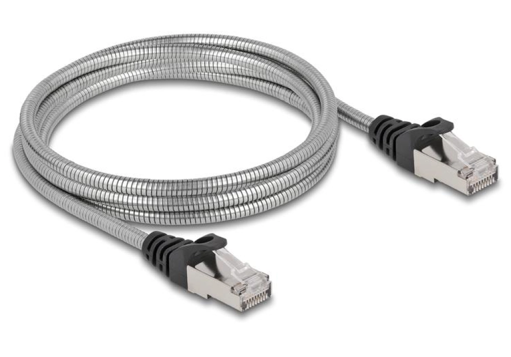 DeLOCK Câble RJ45 Cat 6A, U/FTP, Gaine métal - 2.0 m