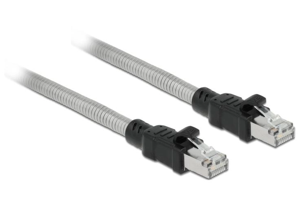 DeLOCK Câble RJ45 Cat 6A, U/FTP, Gaine métal - 3.0 m