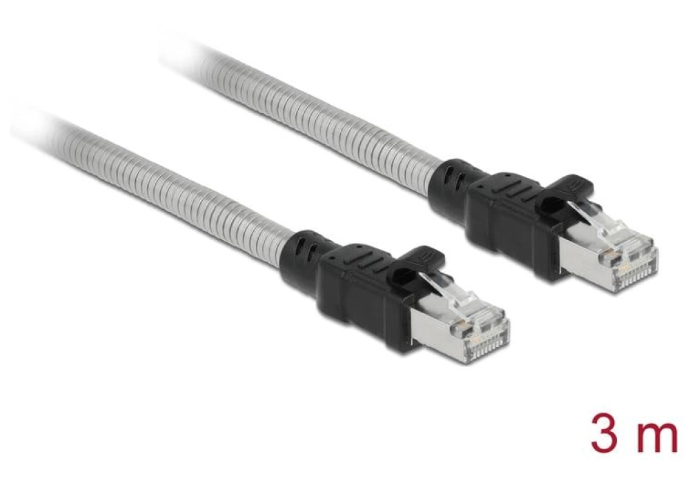 DeLOCK Câble RJ45 Cat 6A, U/FTP, Gaine métal - 3.0 m