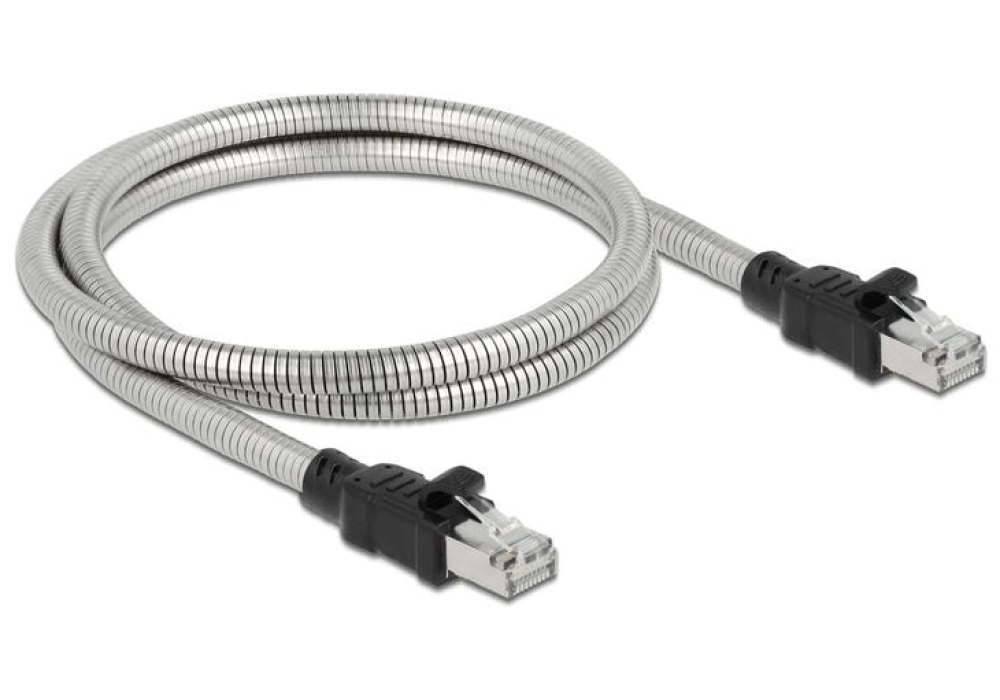 DeLOCK Câble RJ45 Cat 6A, U/FTP, Gaine métal - 3.0 m