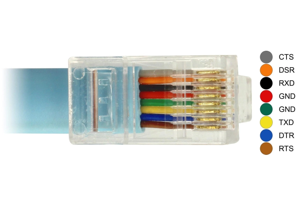 Delock Câble RS-232 DB9 vers RJ-45 Compatible Cisco - 1m