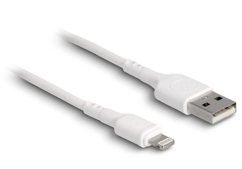 DeLOCK Câble USB-A vers Lightning - 0.3 m (Blanc)