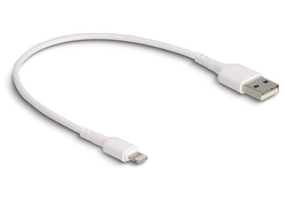 DeLOCK Câble USB-A vers Lightning - 0.3 m (Blanc)