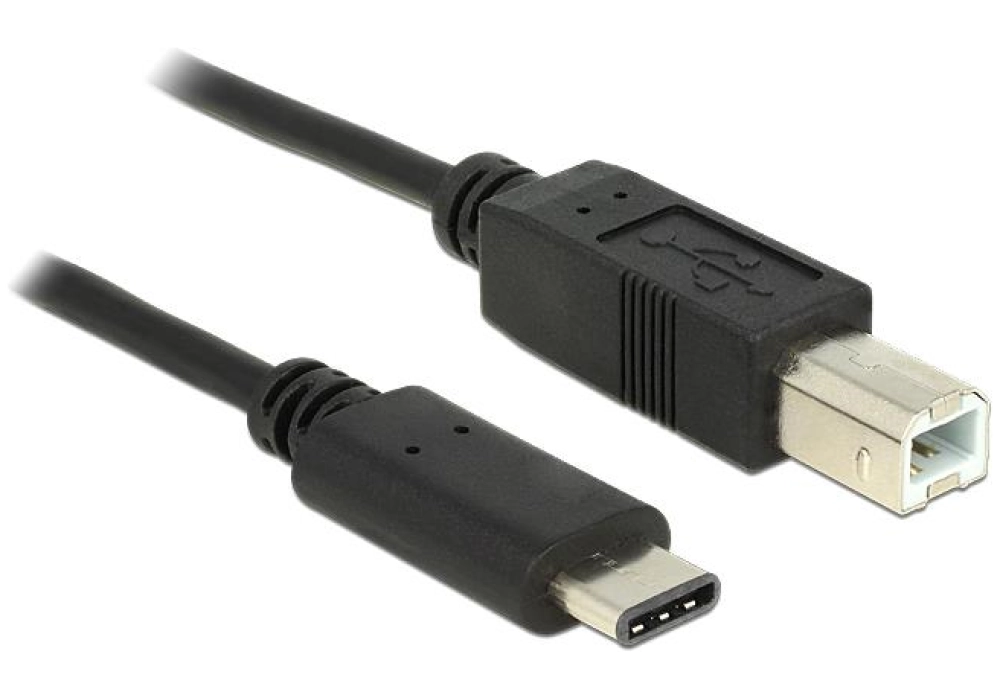 DeLOCK Cable USB Type-C 2.0 male > USB 2.0 type B male - 2 m