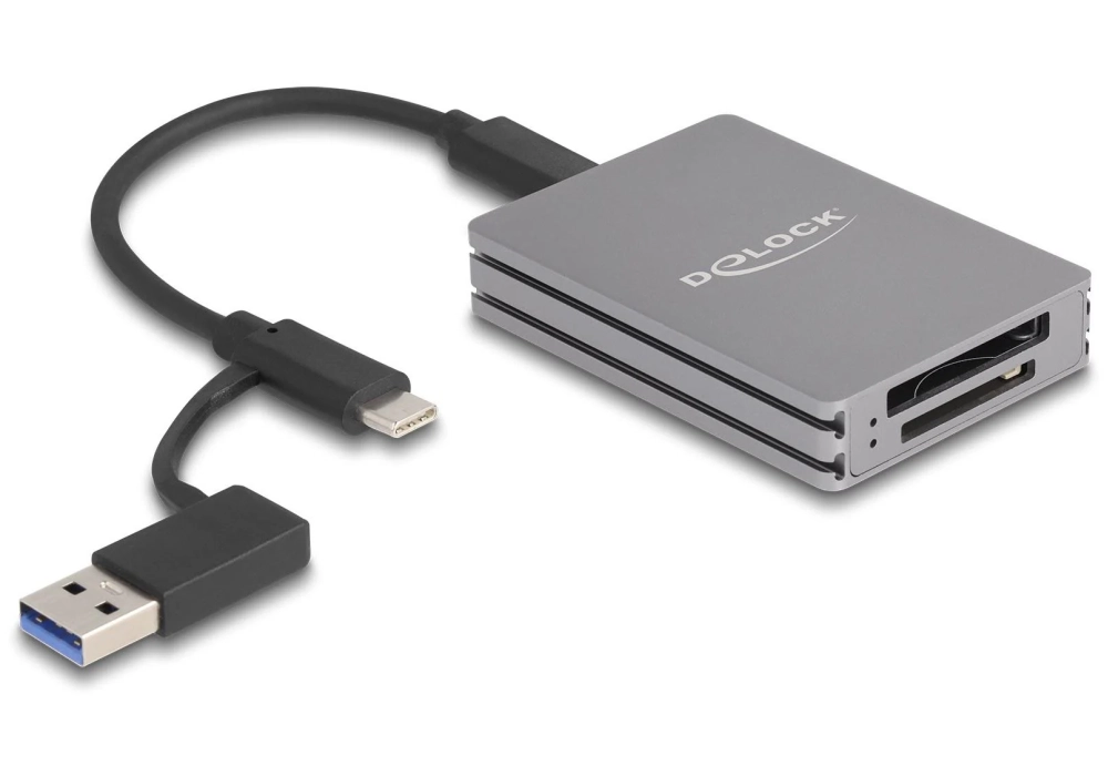 Delock Card Reader Extern 91011 USB type-C pour SD/CFexpress Type B 