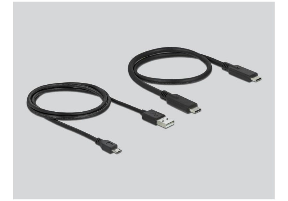 DeLOCK Commutateur KVM 2 Port HDMI/USB-C 4K/60Hz