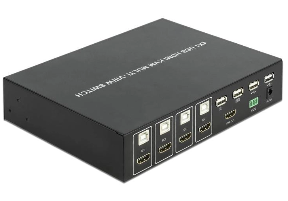 DeLOCK Commutateur KVM 4 in 1 Multiview Switch 4 Port