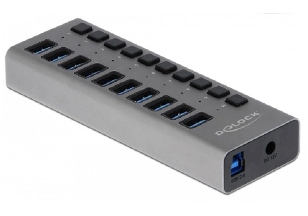 DeLOCK Concentrateur USB 10x USB-A + interrupteurs