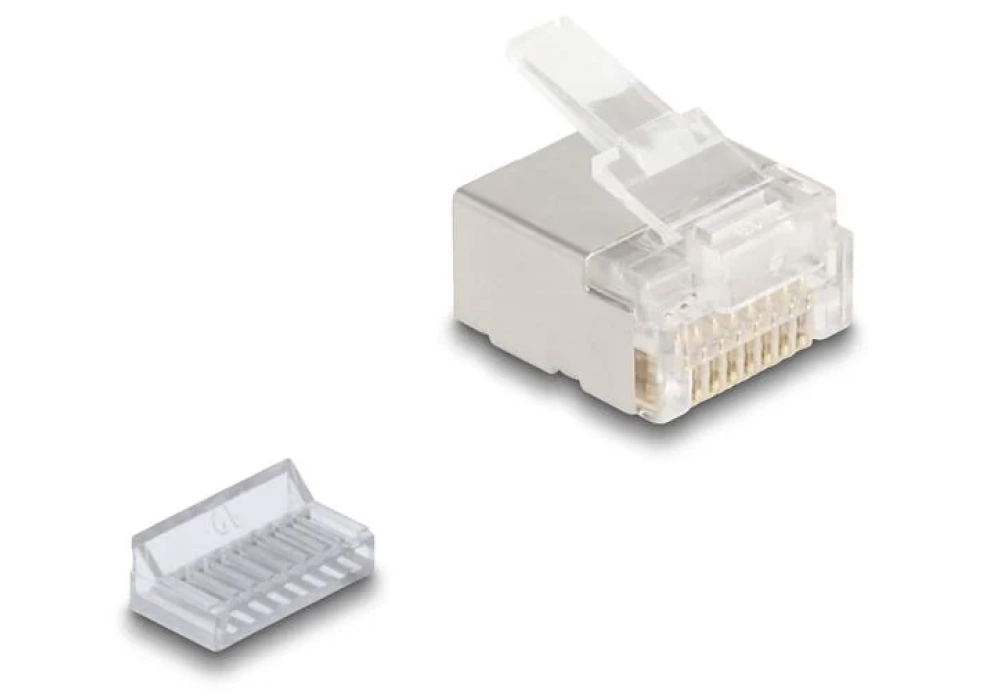 Delock Connecteur RJ45, Cat.6A 100 Pièce/s, Transparent