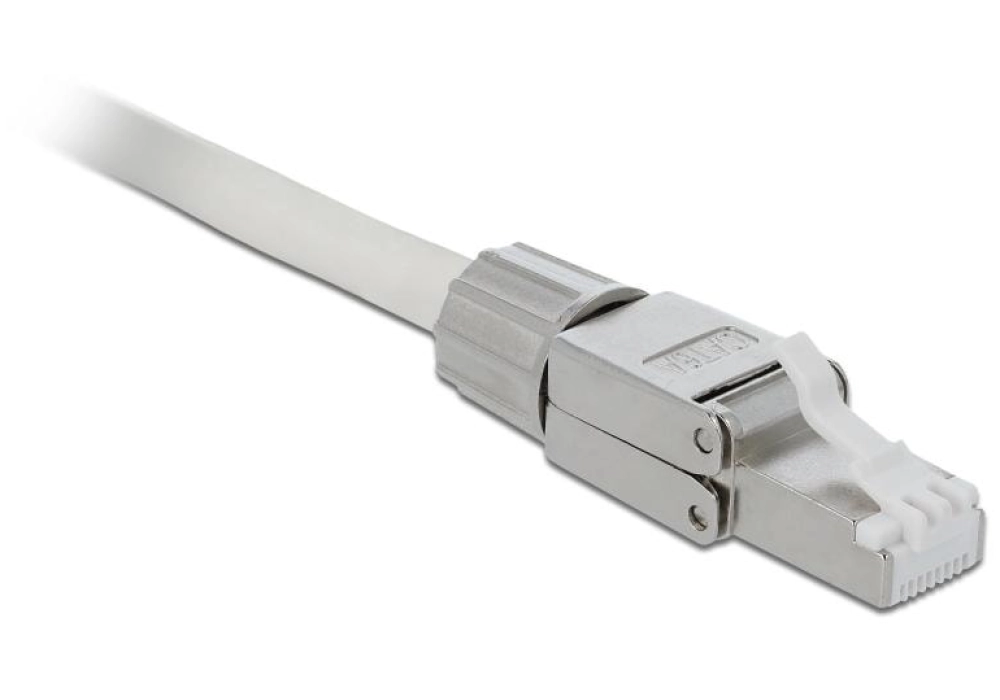 DeLOCK Connecteur RJ45 Cat.6A blindé, sans outil - 1 pièce (Gris)