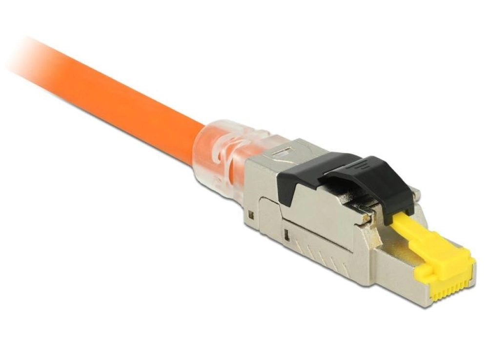 DeLOCK Connecteur RJ45 Cat.8.1 Montage sur site, 1 pièce