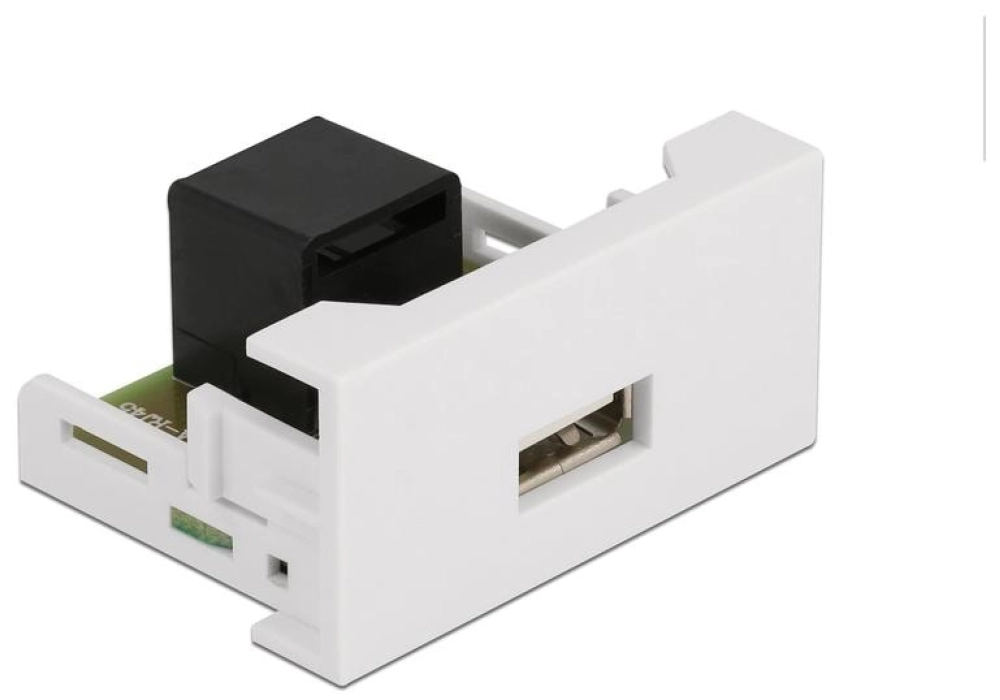 DeLOCK Easy 45 Module 22.5 x 45 mm RJ45 - Prise USB A