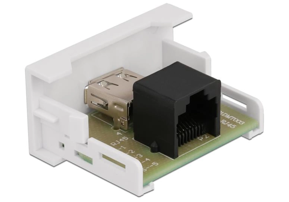 DeLOCK Easy 45 Module 22.5 x 45 mm RJ45 - Prise USB A