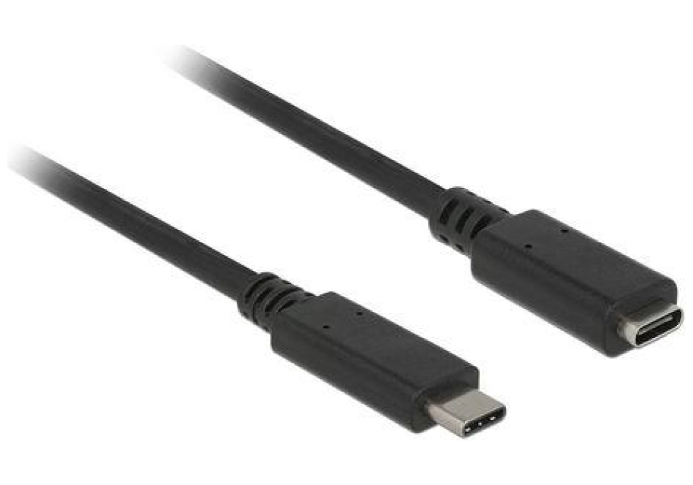 DeLOCK Extension cable (USB 3.1 Gen 1) USB Type-C 0.5 m