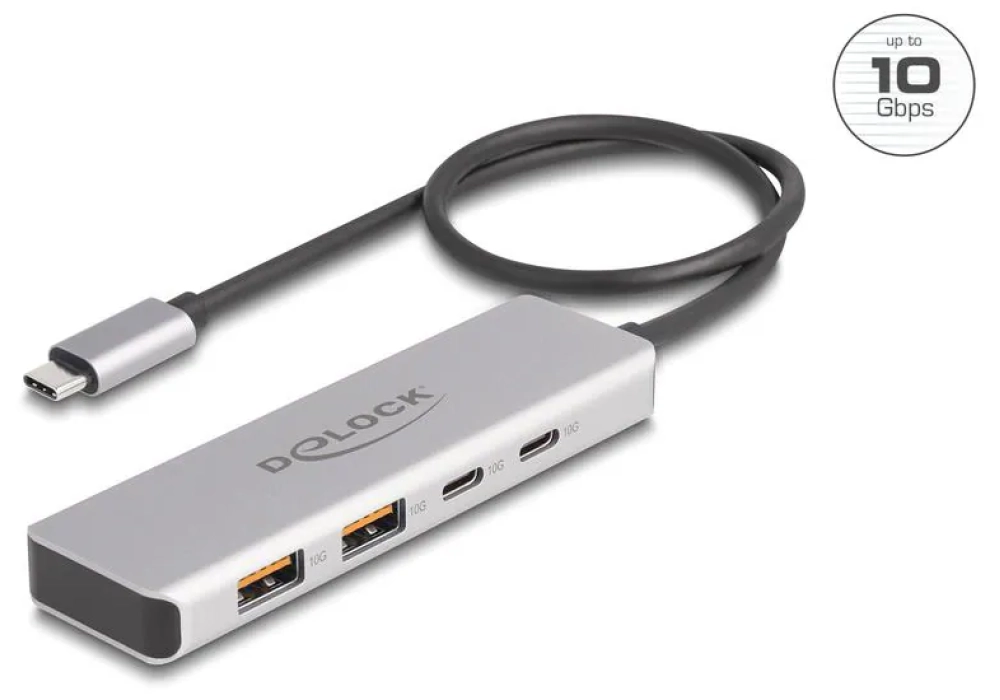 Delock Hub USB 10 Gbps 2 x USB Type-A et 2 x USB Type-C