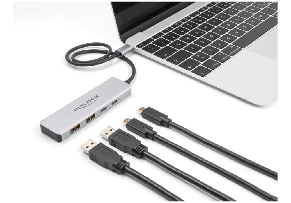 Delock Hub USB 10 Gbps 2 x USB Type-A et 2 x USB Type-C