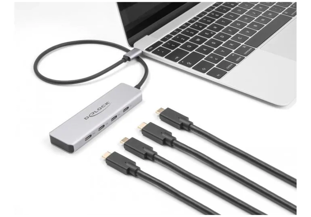 Delock Hub USB 10 Gbps USB-C avec 4 x USB-C