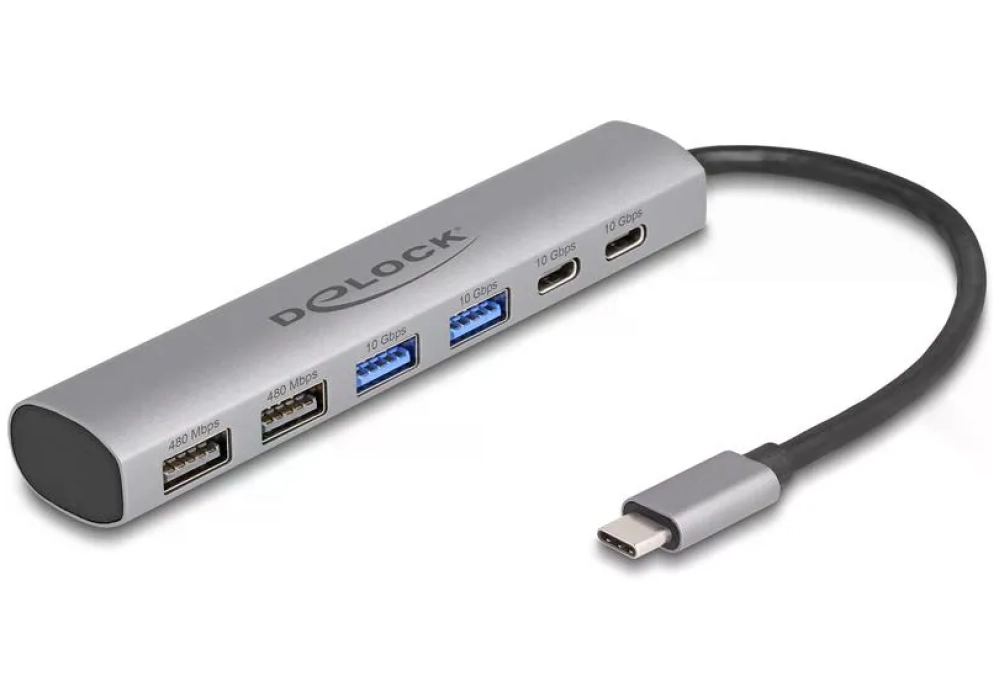 Delock Hub USB Type-C