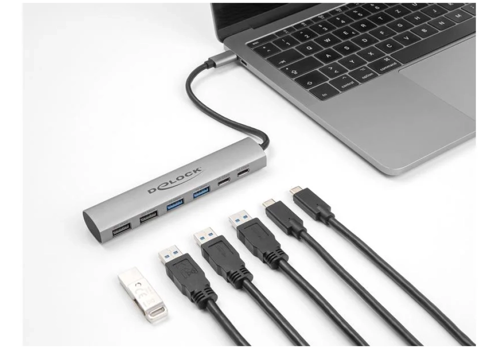 Delock Hub USB Type-C