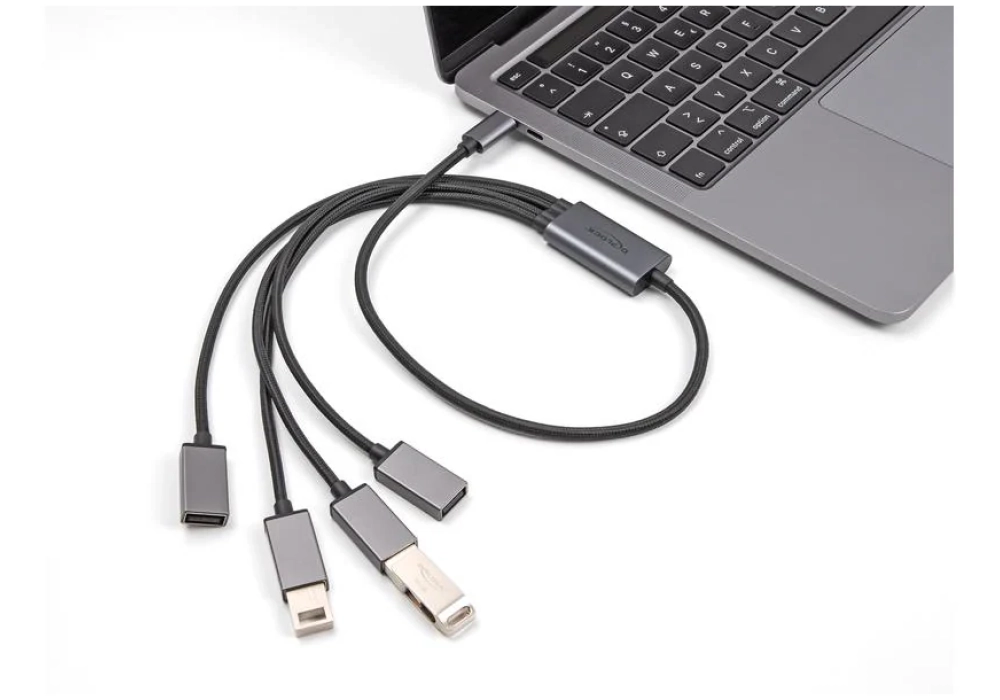 Delock Hub USB USB 2.0 - 4x USB-A, USB Type-C, 60 cm