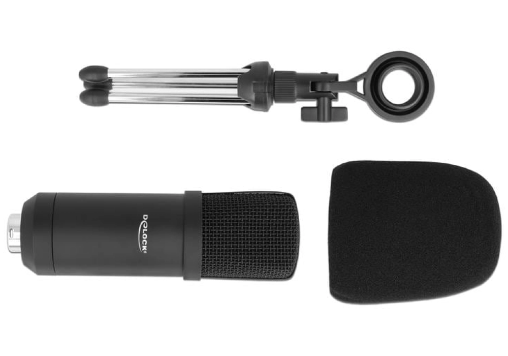 DeLOCK Microphone à condensateur USB professionnel avec support