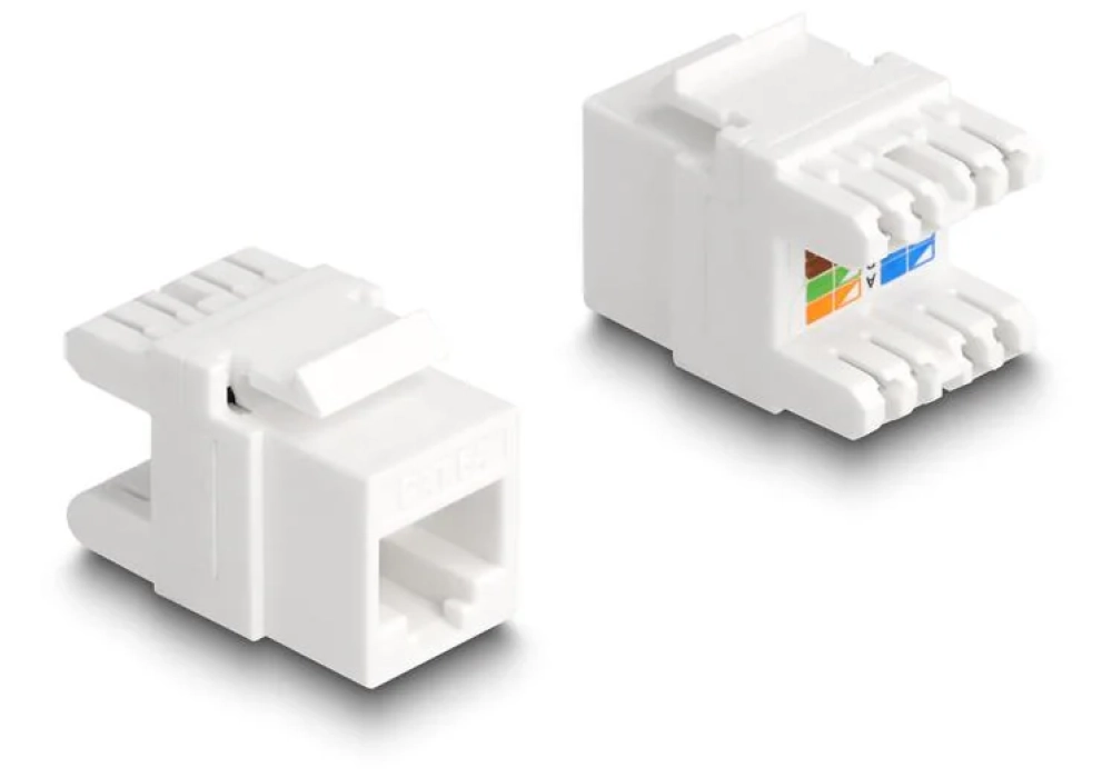 Delock Module Keystone Cat.6A, sans outil, Prise RJ-45, LSA