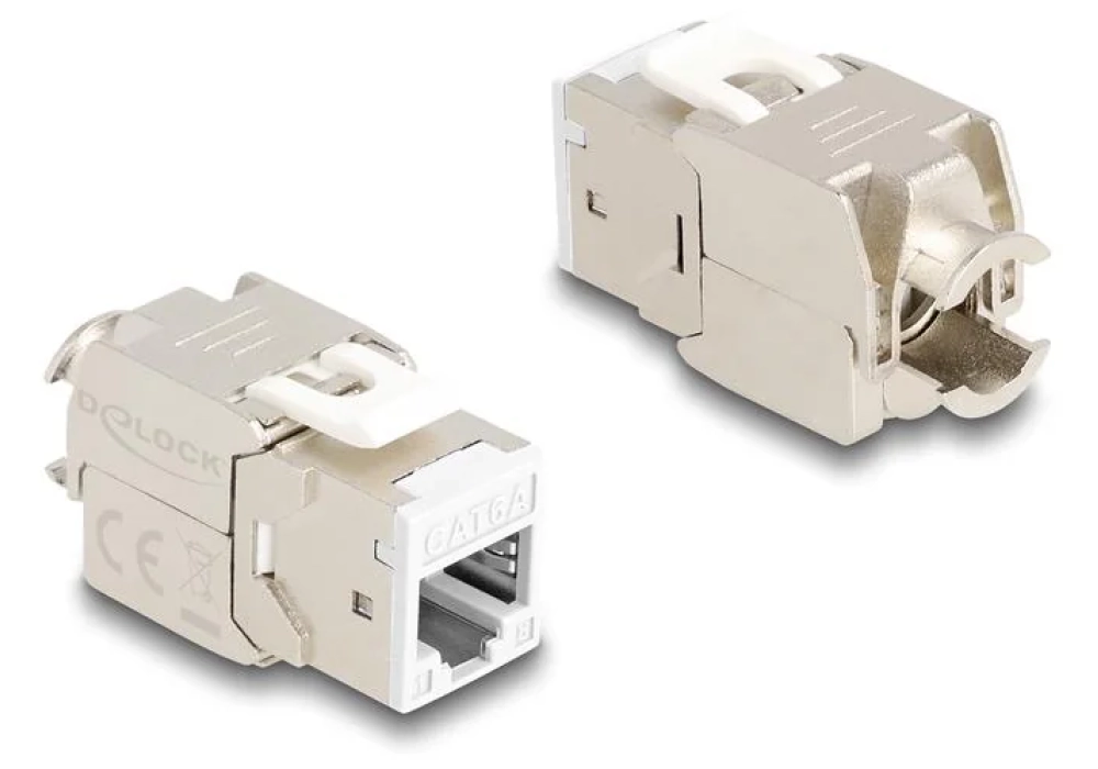 Delock Module Keystone RJ45 vers LSA Cat.6A Blanc, 10 unités