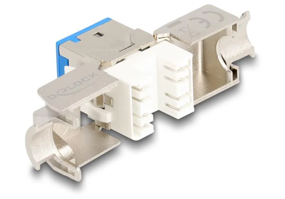 Delock Module Keystone RJ45 vers LSA Cat.6A Bleu, 10 unités