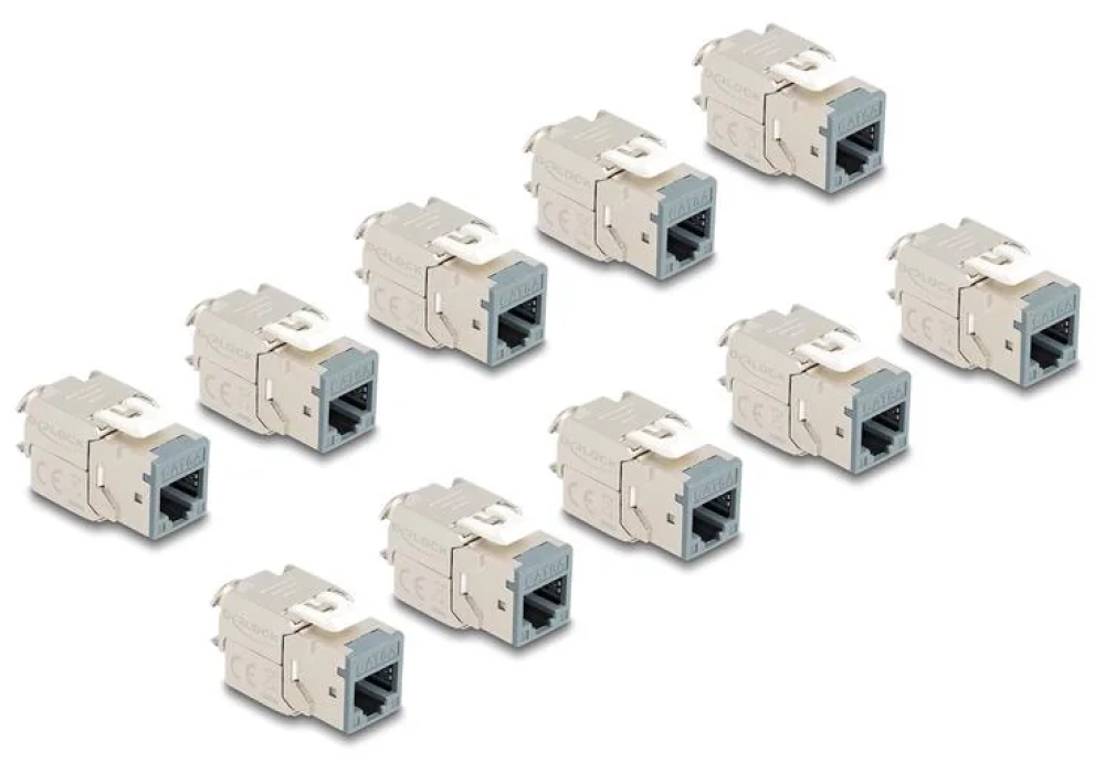 Delock Module Keystone RJ45 vers LSA Cat.6A Gris, 10 unités