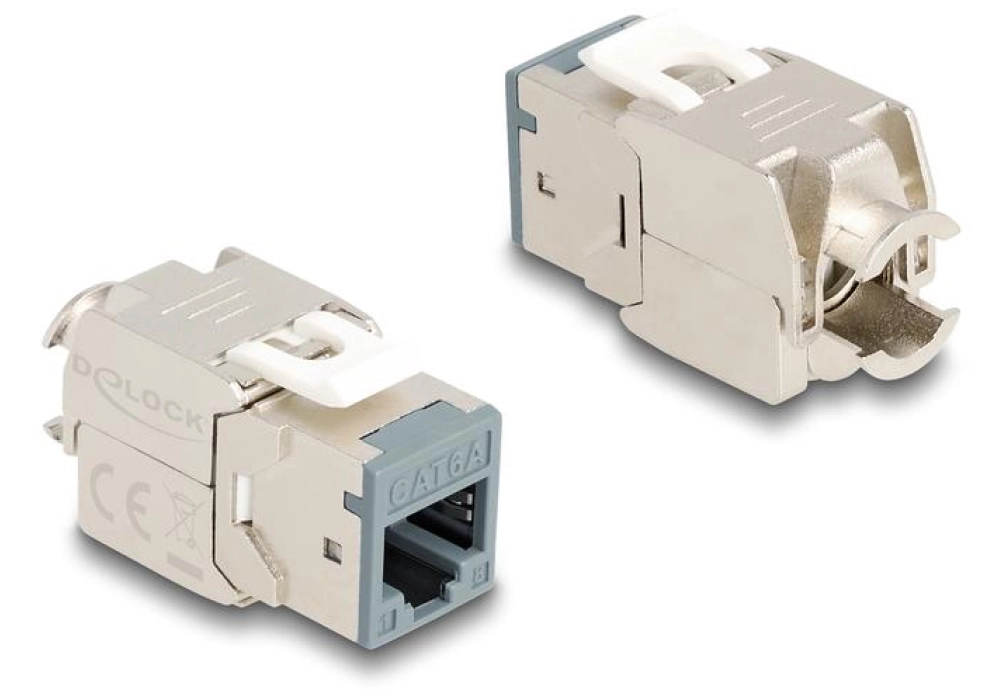 Delock Module Keystone RJ45 vers LSA Cat.6A Gris, 10 unités