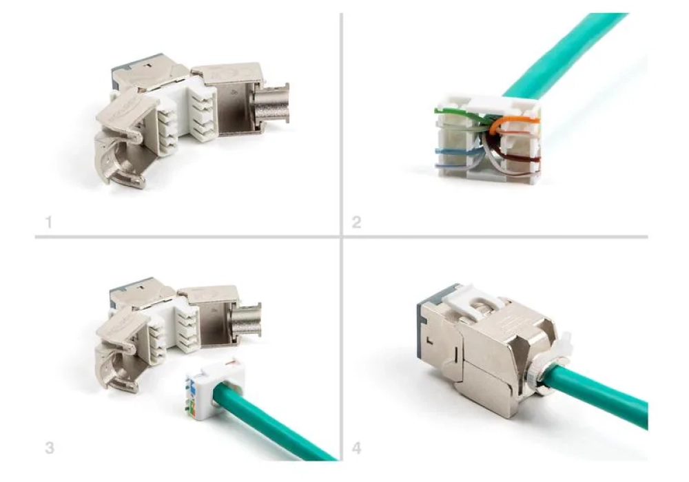 Delock Module Keystone RJ45 vers LSA Cat.6A Gris, 10 unités