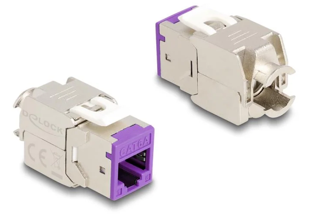 Delock Module Keystone RJ45 vers LSA Cat.6A Violet, 10 unités