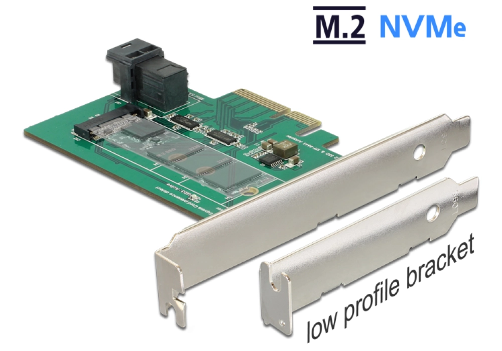 DeLOCK PCIe card > 1 x NVMe M.2 + 1 x U.2 NVMe