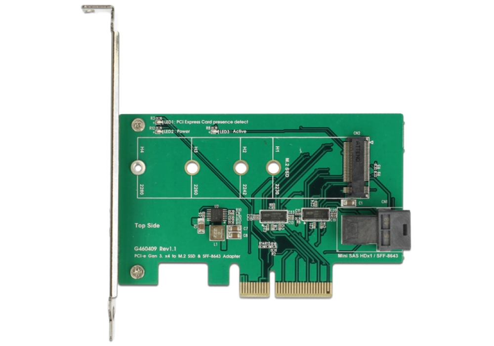 DeLOCK PCIe card > 1 x NVMe M.2 + 1 x U.2 NVMe