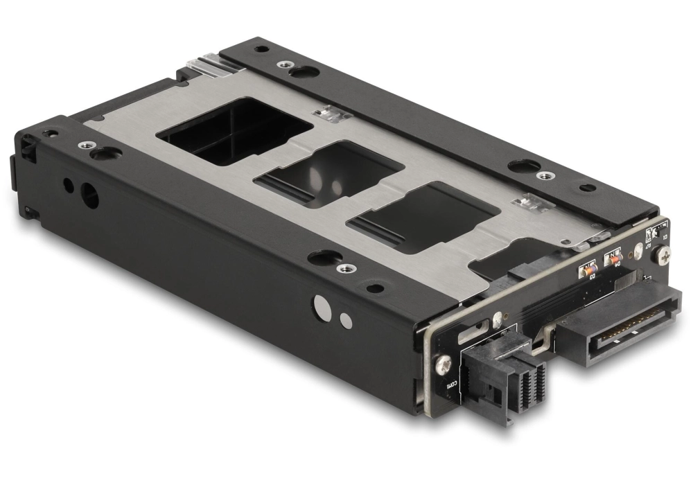 Delock Rack amovible U.2 NVMe 2.5"