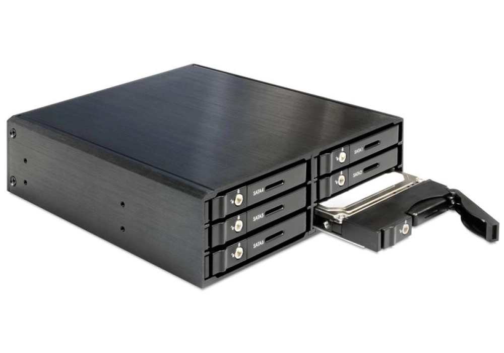 DeLOCK Rack mobile de 5.25″ pour 6 x HDD / SSD SATA 2.5″