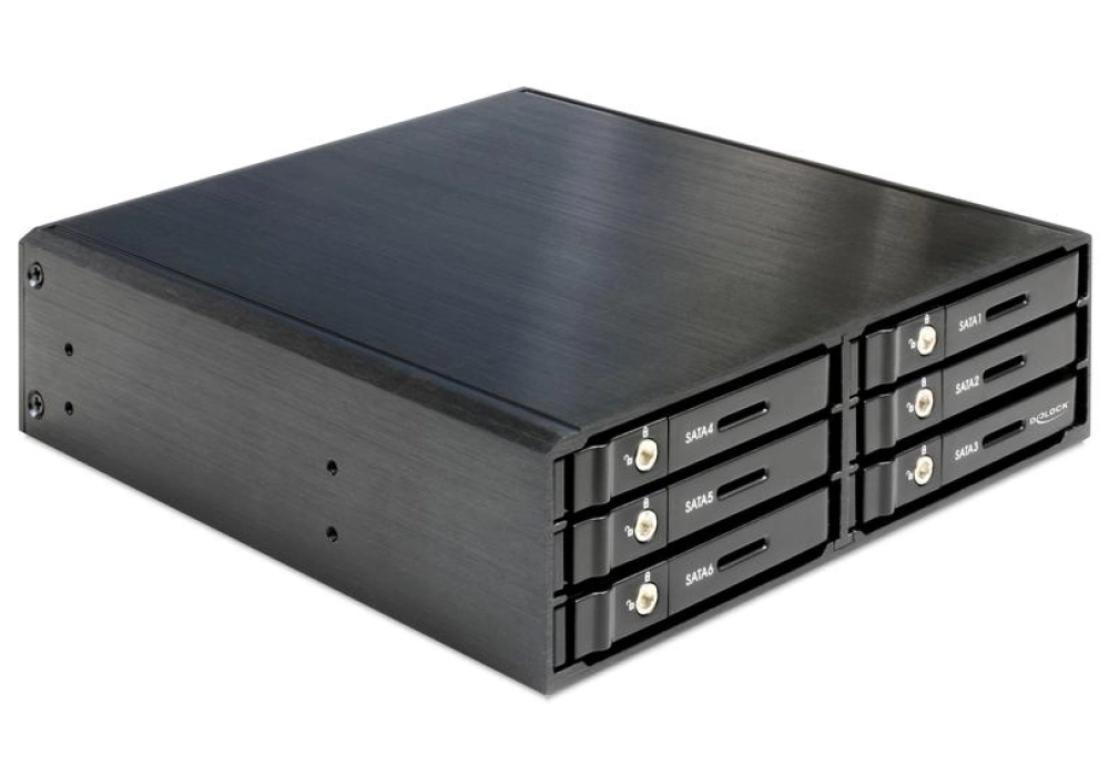 DeLOCK Rack mobile de 5.25″ pour 6 x HDD / SSD SATA 2.5″