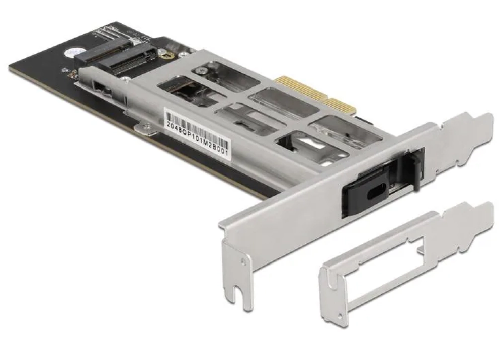 Delock Rack mobile PCIe 1 x M.2 NMVe SSD