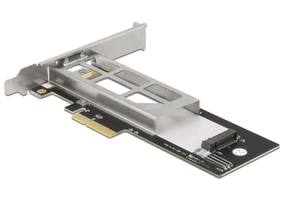 Delock Rack mobile PCIe 1 x M.2 NMVe SSD