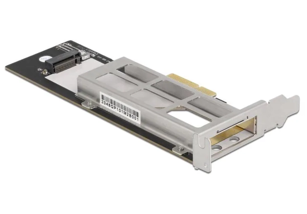 Delock Rack mobile PCIe 1 x M.2 NMVe SSD