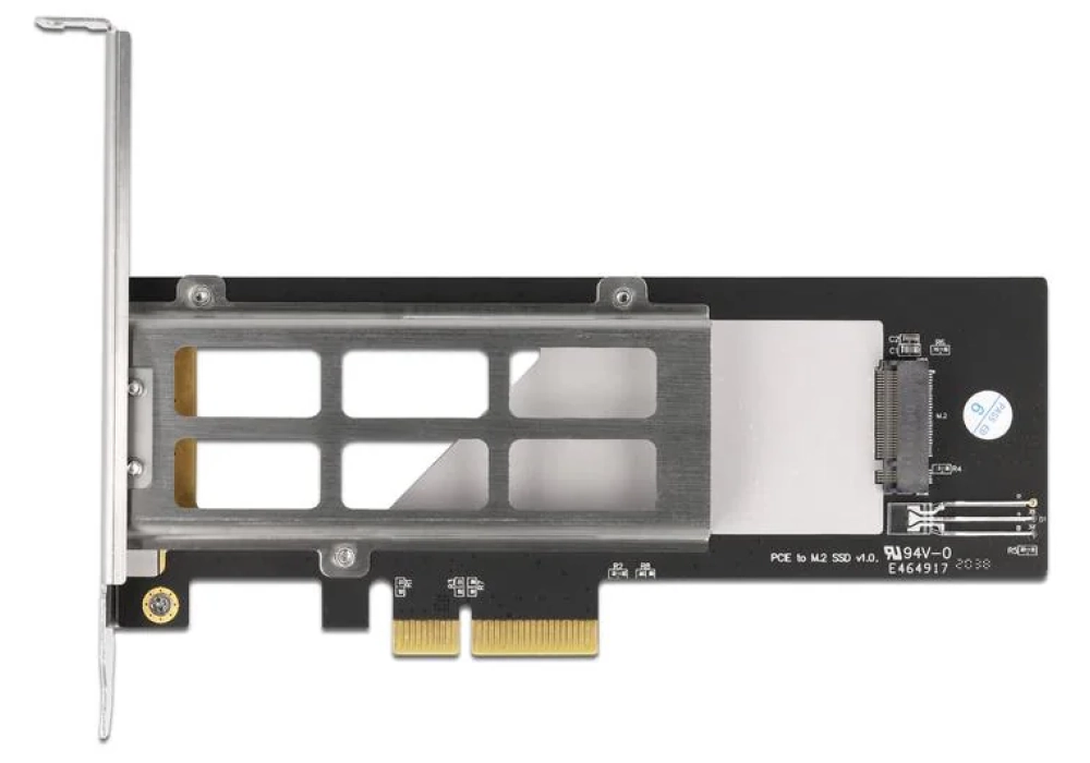 Delock Rack mobile PCIe 1 x M.2 NMVe SSD