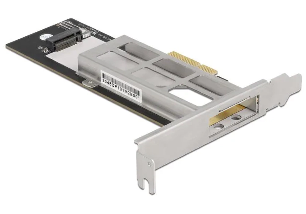 Delock Rack mobile PCIe 1 x M.2 NMVe SSD