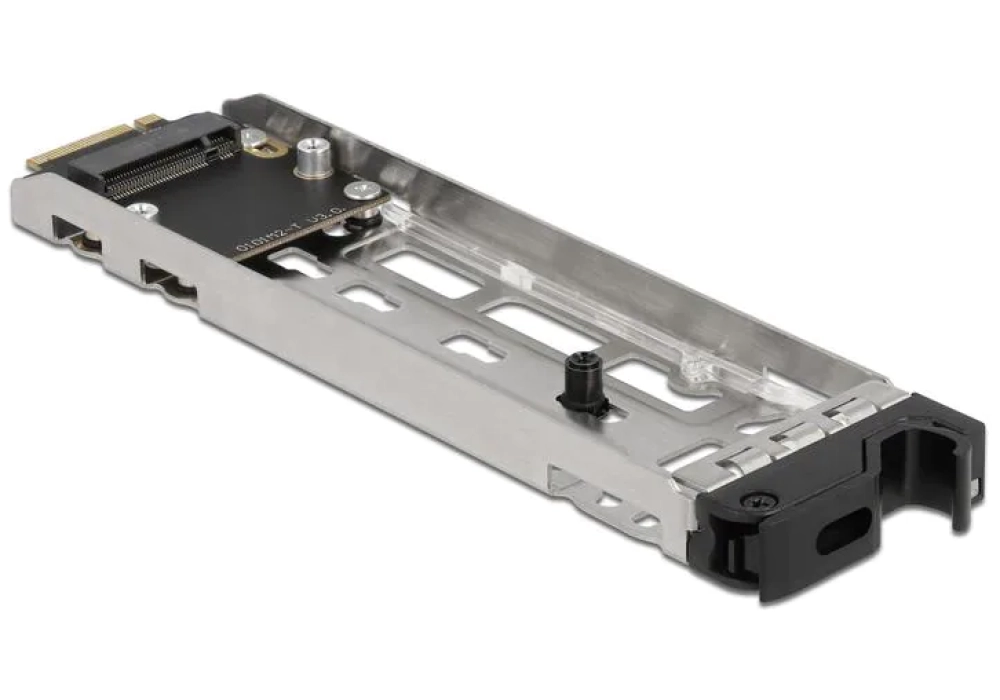 Delock Rack mobile PCIe 1 x M.2 NMVe SSD