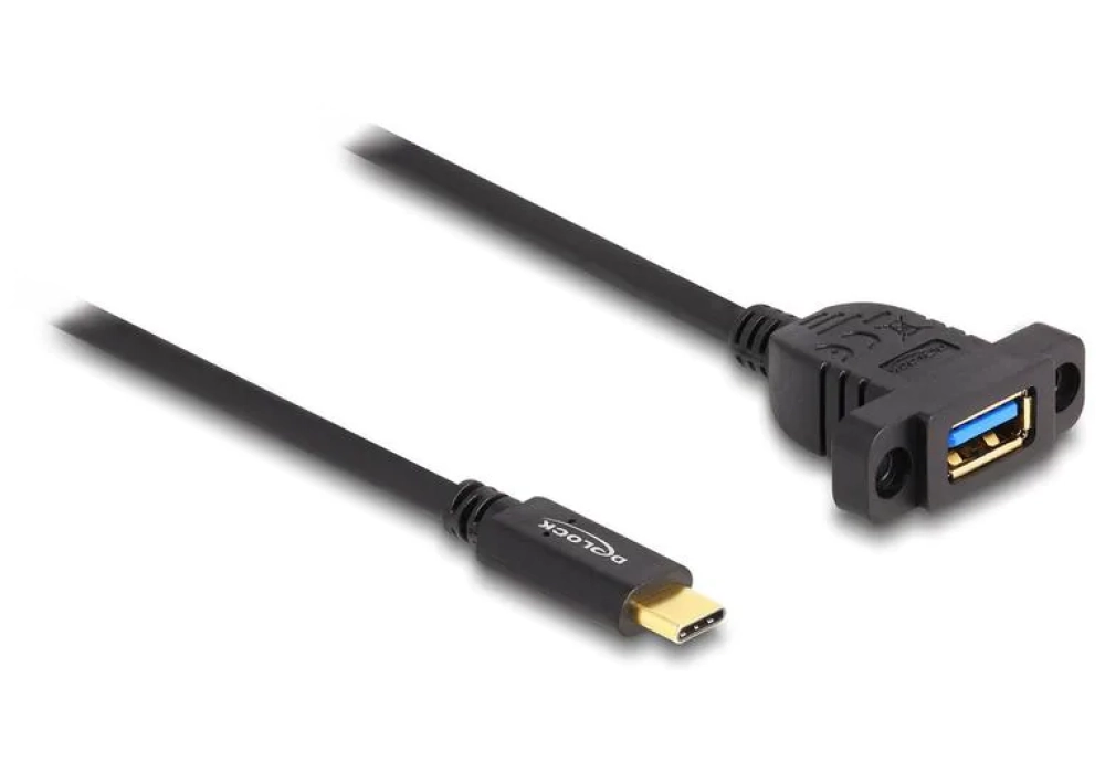 Delock rallonges à encastrer USB C - USB A 1 m