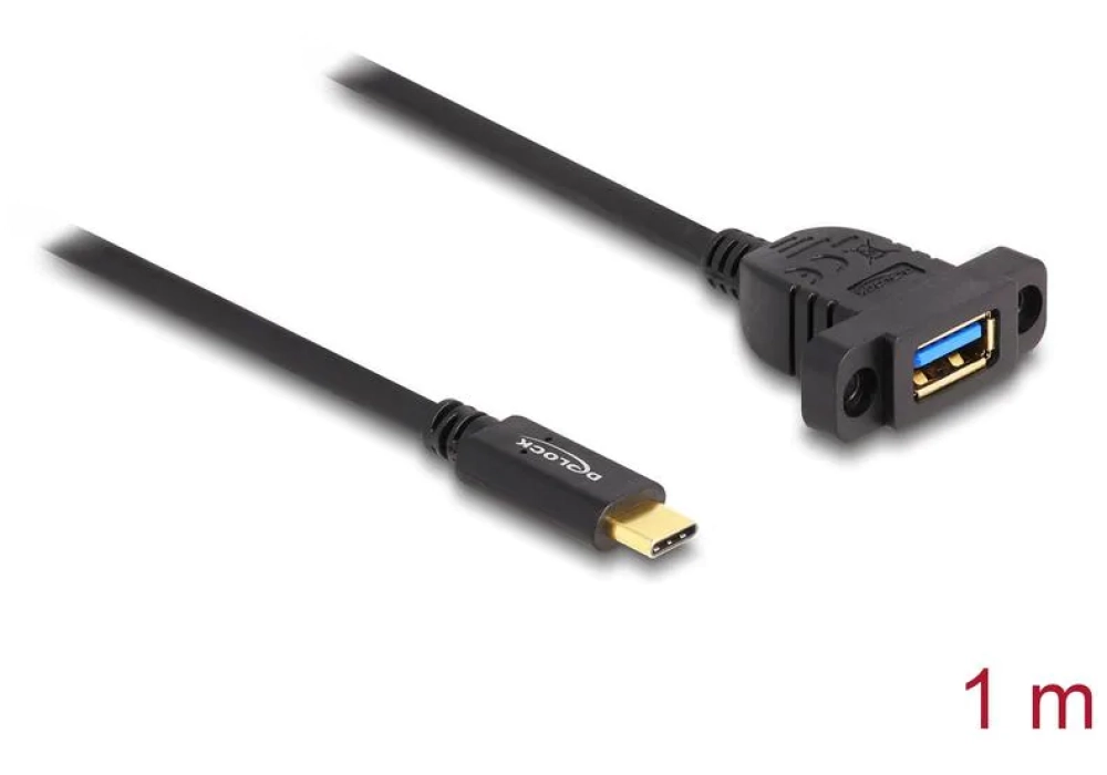 Delock rallonges à encastrer USB C - USB A 1 m