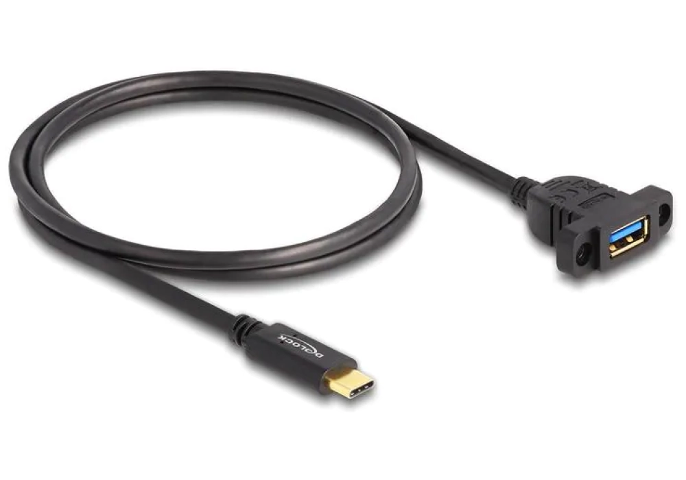 Delock rallonges à encastrer USB C - USB A 1 m