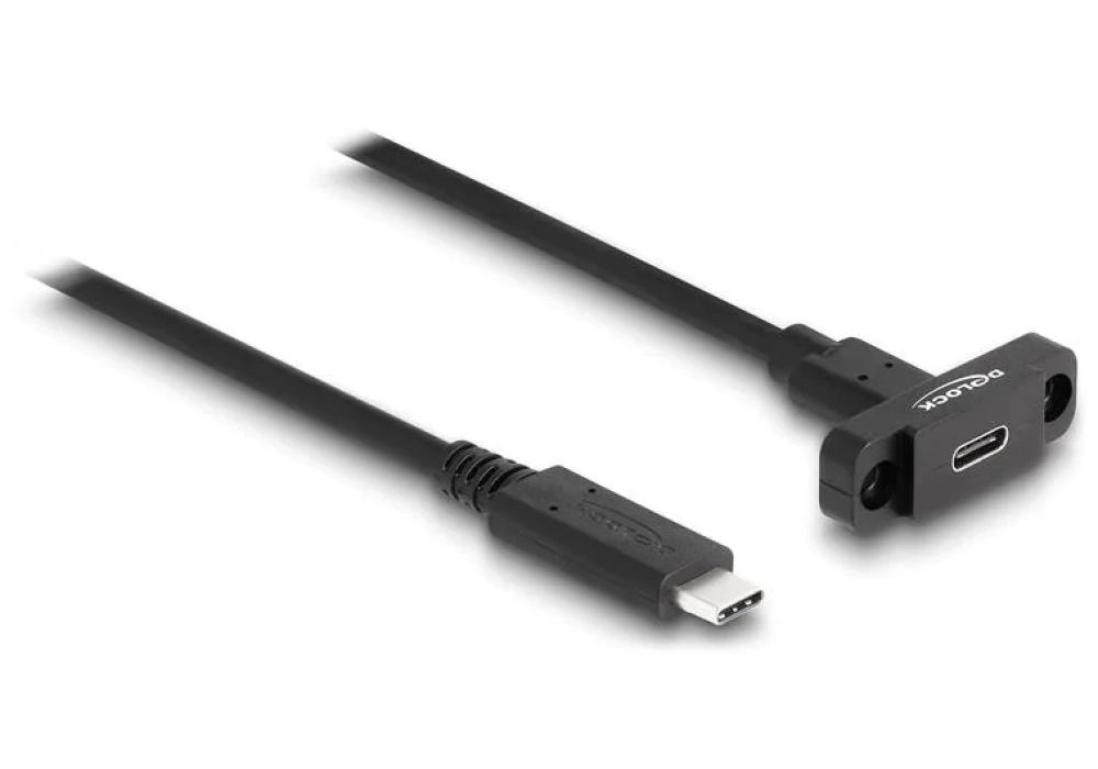 Delock rallonges à encastrer USB C - USB C 1 m