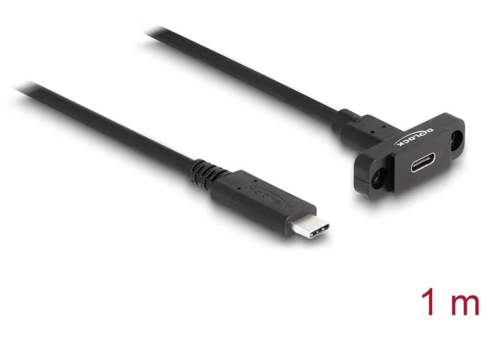 Delock rallonges à encastrer USB C - USB C 1 m